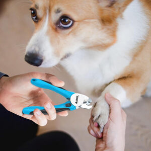 CĄŻKI DO PAZURÓW RK78 - obrazek 3