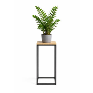 KWIETNIK STOJĄCY POJEDYŃCZY WYSOKI FOS-TALL