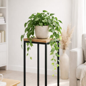 KWIETNIK STOJĄCY POJEDYŃCZY WYSOKI FOS-TALL - obrazek 4