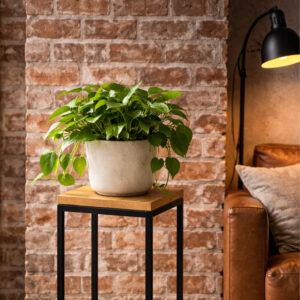 KWIETNIK STOJĄCY POJEDYŃCZY WYSOKI FOS-TALL - obrazek 2